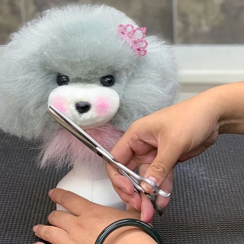 Modello di Testa per Addestramento e Toelettatura Animali con Pelliccia Sintetica Realistica, Manichino Testa di Cane Poodle Teddy per Professionisti