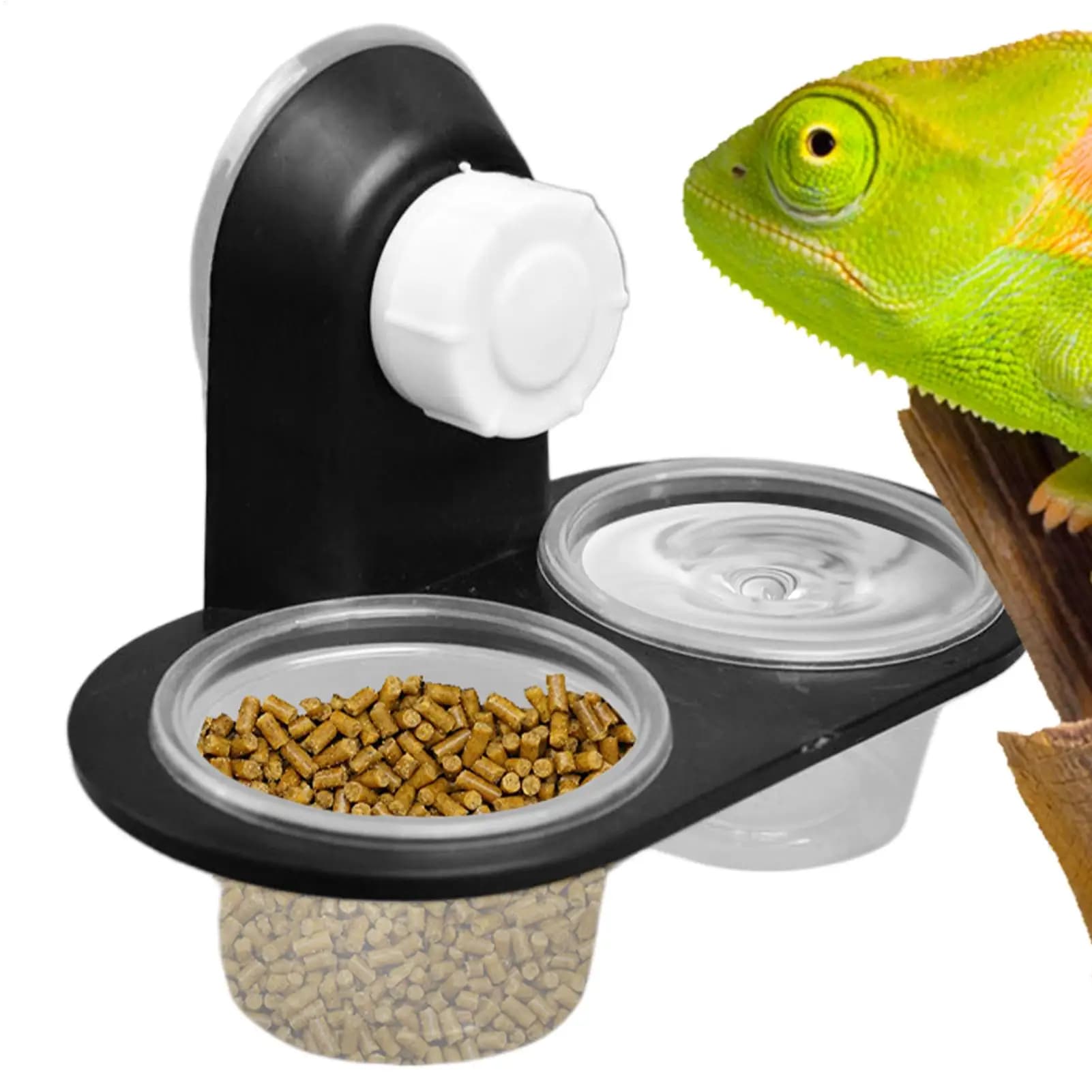 Reptile Tank Accessories Insect Spider Ants Nest Snake Gecko Food Water Feeding Bowl Terrarium Breeding Feeders Box Pets Supply