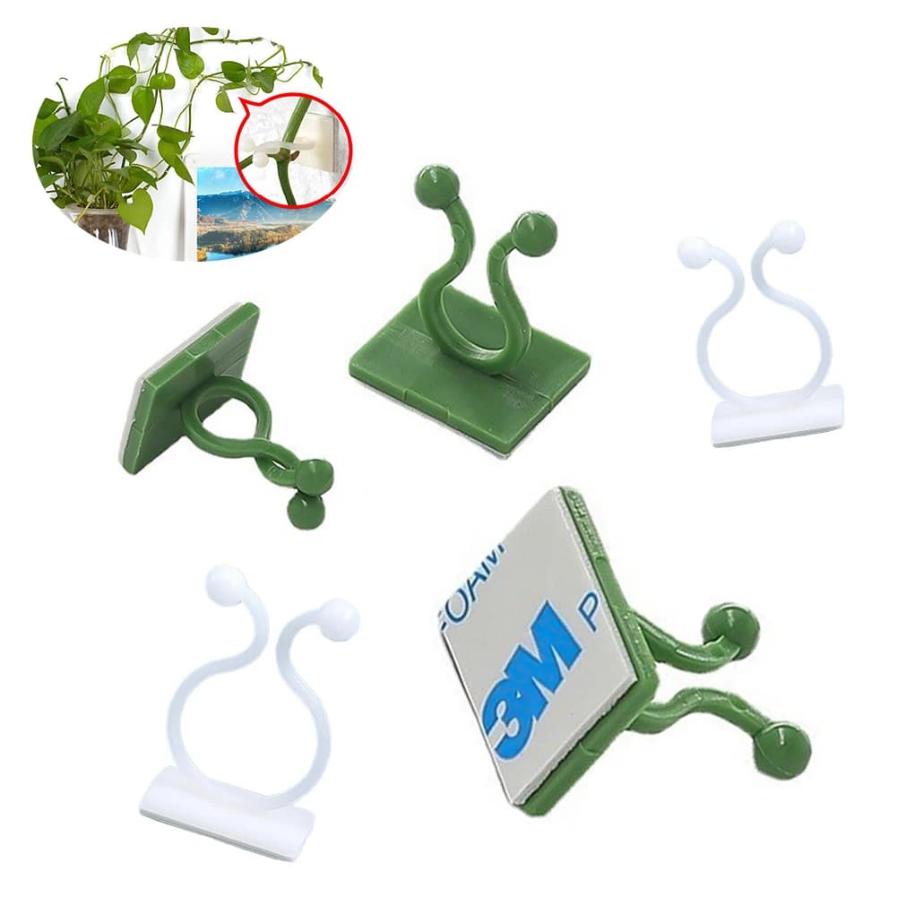 5 pezzi clip per fissaggio a parete per piante rampicanti ganci autoadesivi con fibbia per vite fissatori per morsetti in rattan appiccicoso dispositivi di fissaggio invisibili