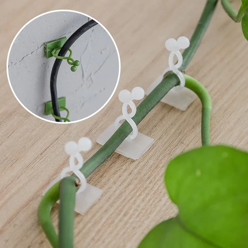 10Pcs Plant Wall Fixing Hooks Universal Vine Climbing Holder Household Green Plant Trellis Fastener