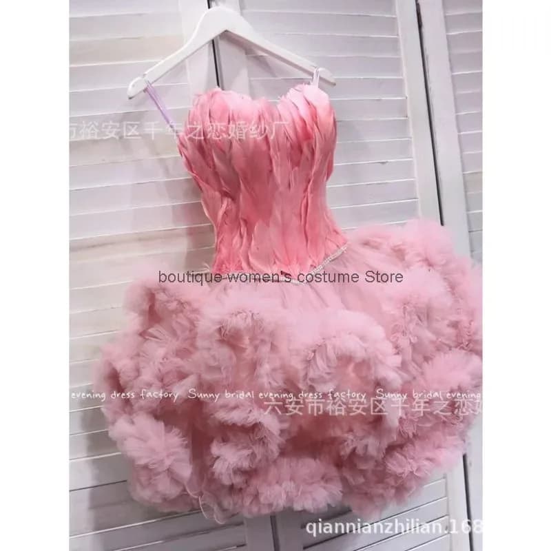 Cos Abito da principessa Fotografia di viaggio Festa annuale Ragazza Abito da sera con piume Host Sfilata di moda Principessa gonfia