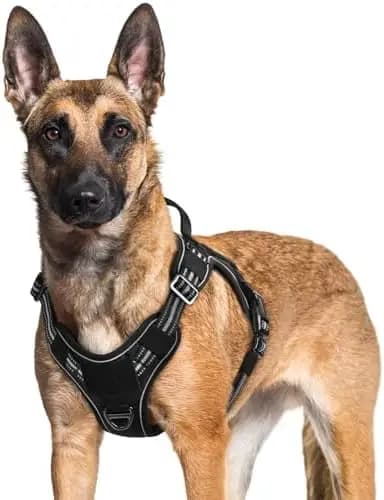 Imbracatura tattica per cani di taglia grande – Nera, XL, Riflettente e Regolabile
