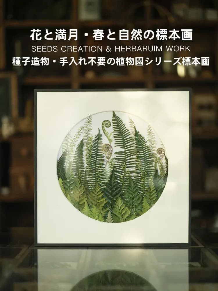 Wall Decorative Square Made to Hand with Vegetal Exemplars, Artistic Image of Seeds and Flowers, Design Moon Round, Excellent Craftsmanship