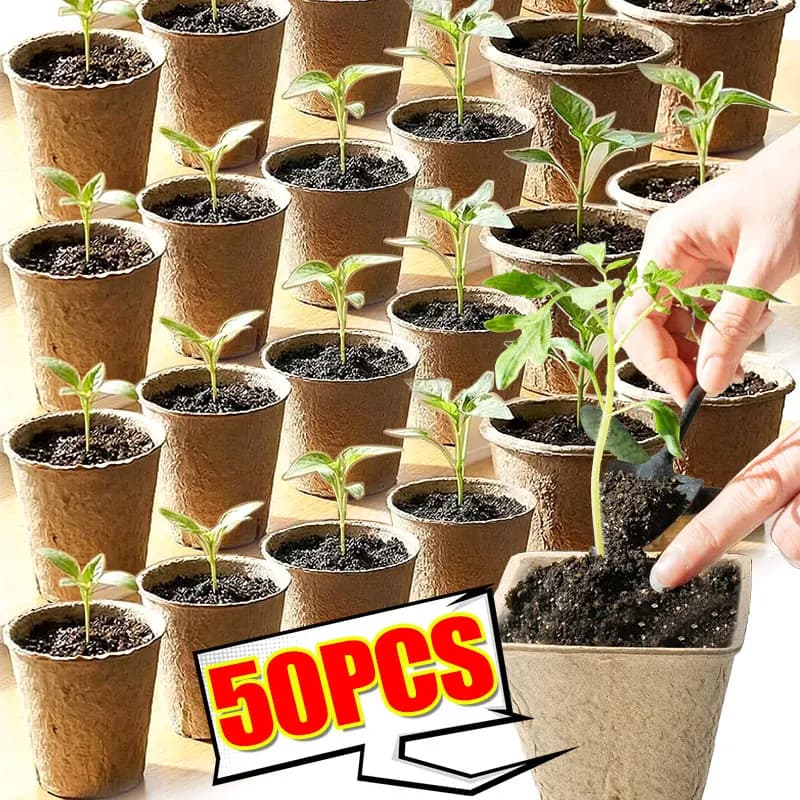 Biodegradable Vases Ecological Rounds and Squares in Polpa for Semina, Flowers, Radical Growth Breathable, Home Gardening Supplies