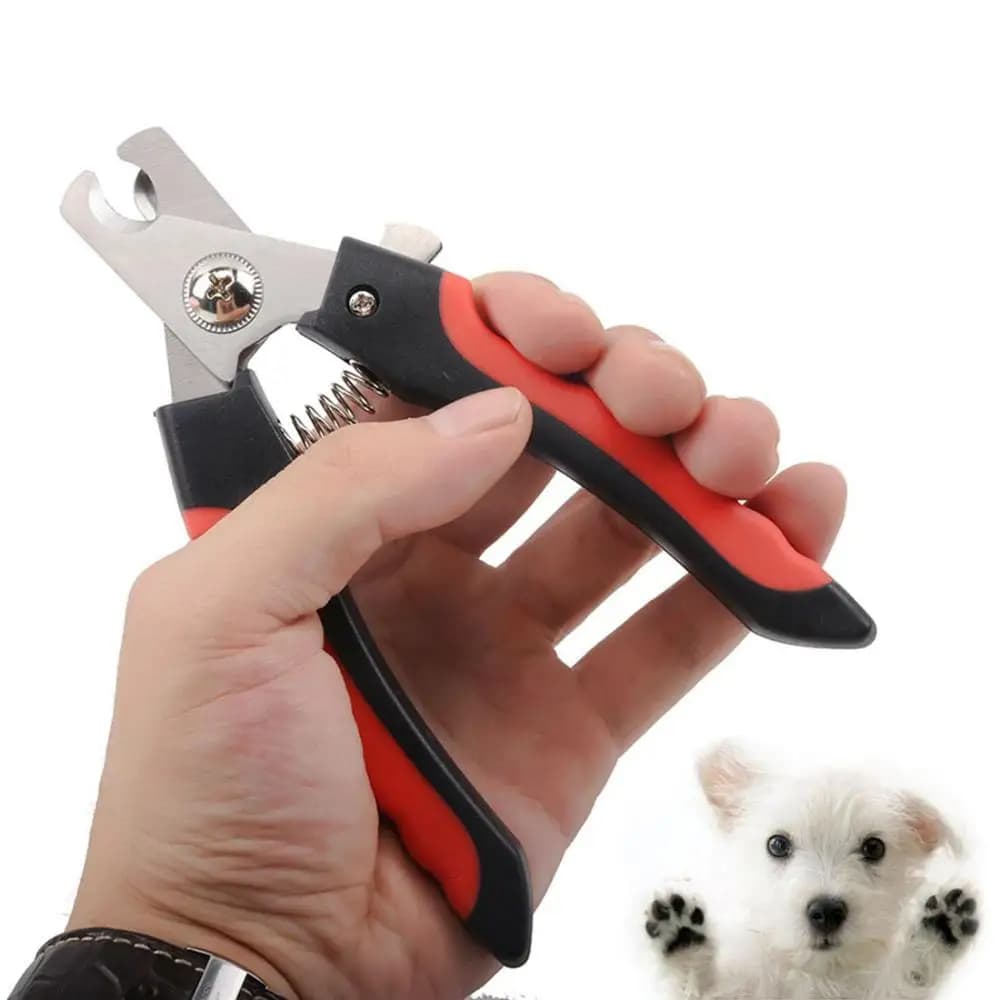 Tronchesino Professionale Creativo in Acciaio Inossidabile per Unghie di Cani e Gatti, per la Pulizia e la Toelettatura degli Animali Domestici