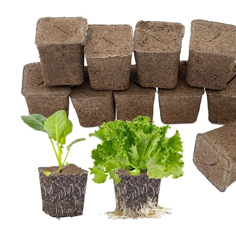 50 Hydroponic sponges for seed for seedlings, clones, crops, promotes rapid rooting of plants, flowers and vegetables