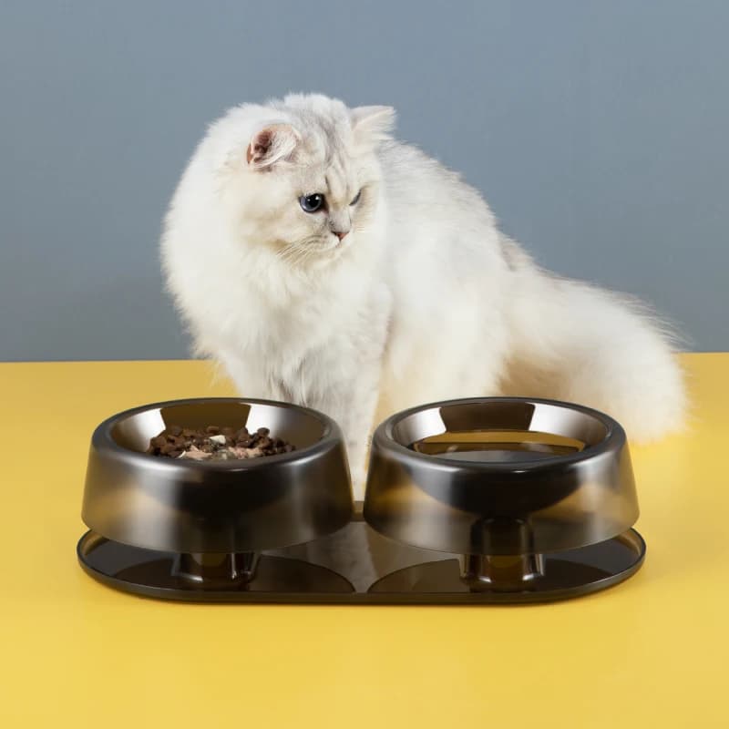 Raised Tilted Double Pet Bowls Anti‑Slip Base Cat Dog Feeder Bowls for Food Water Daily Feeding