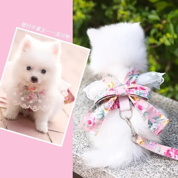 Pettorina per cani morbida e traspirante in nylon con guinzaglio per cani, cuccioli, gatti e altri animali domestici.
