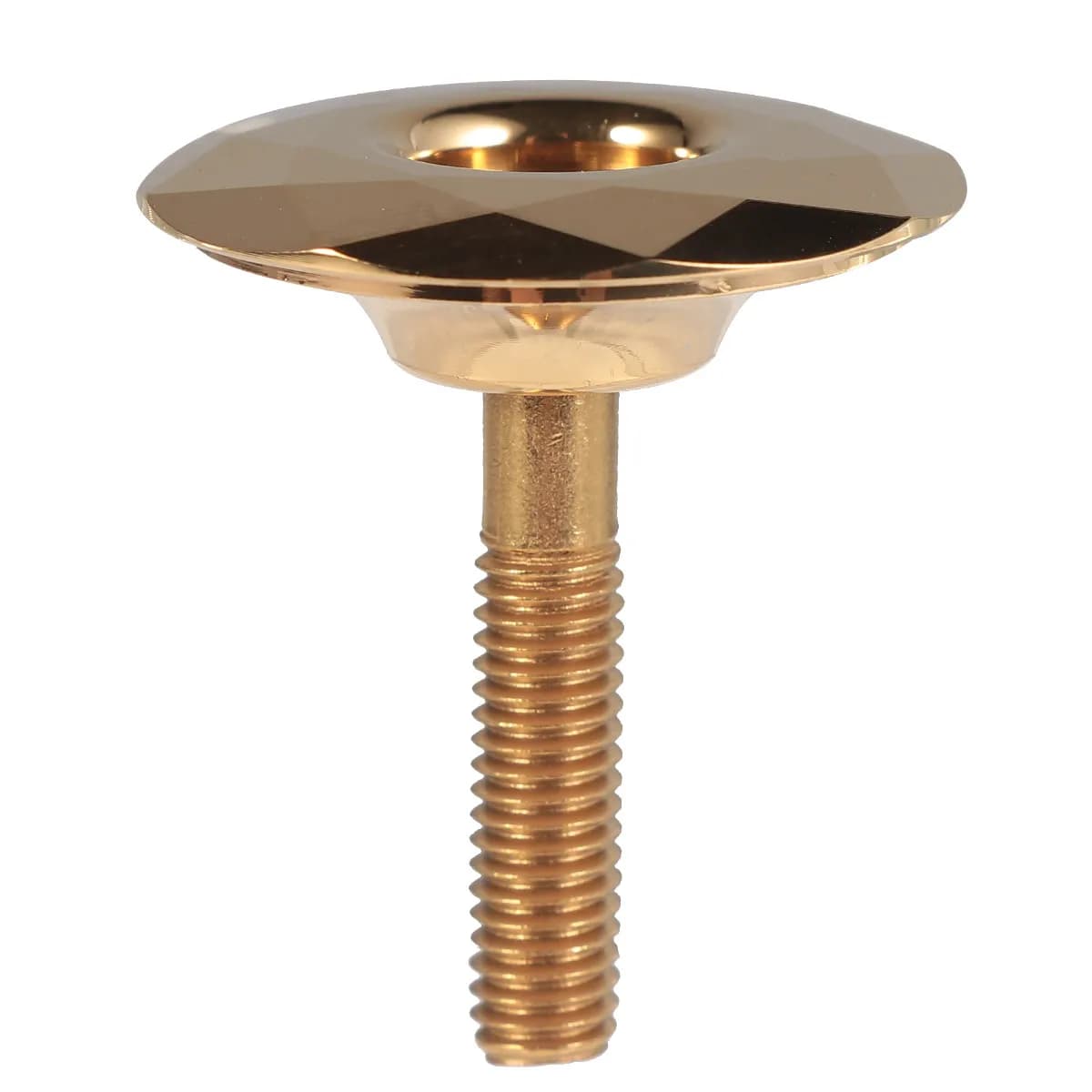 Tappo per Forcella in Lega di Alluminio Premium per Bici da Strada, Mountain Bike e Fixed Gear, Accessori Leggeri per Modifiche, per Forcelle da 286 mm
