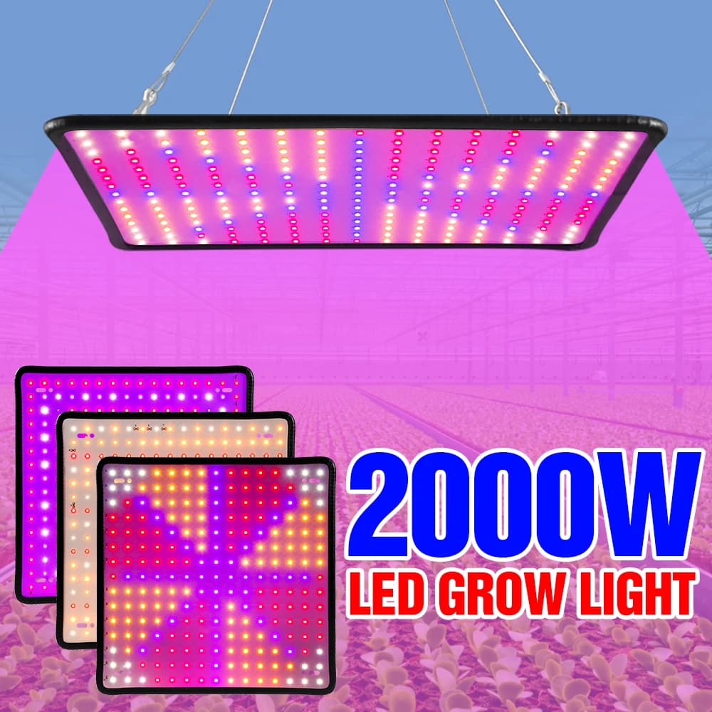 200W LED Quantum Board Grow Light Full Spectrum Plant Lamp Greenhouse Tent Interior Vegetable Potted Cactus Cultivation Lighting
