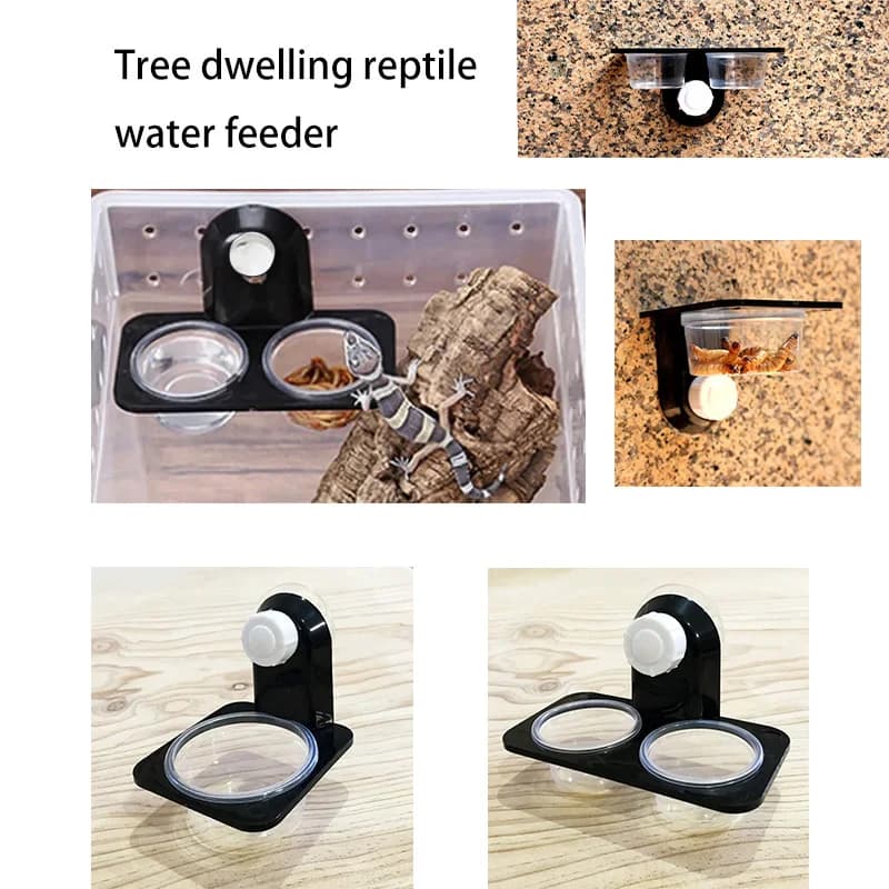 Accessori per serbatoi per rettili Insetto Ragno Formiche Nido Serpente Geco Cibo Acqua Ciotola per alimentazione Terrario Allevamento Alimentatori Scatola Animali domestici Fornitori