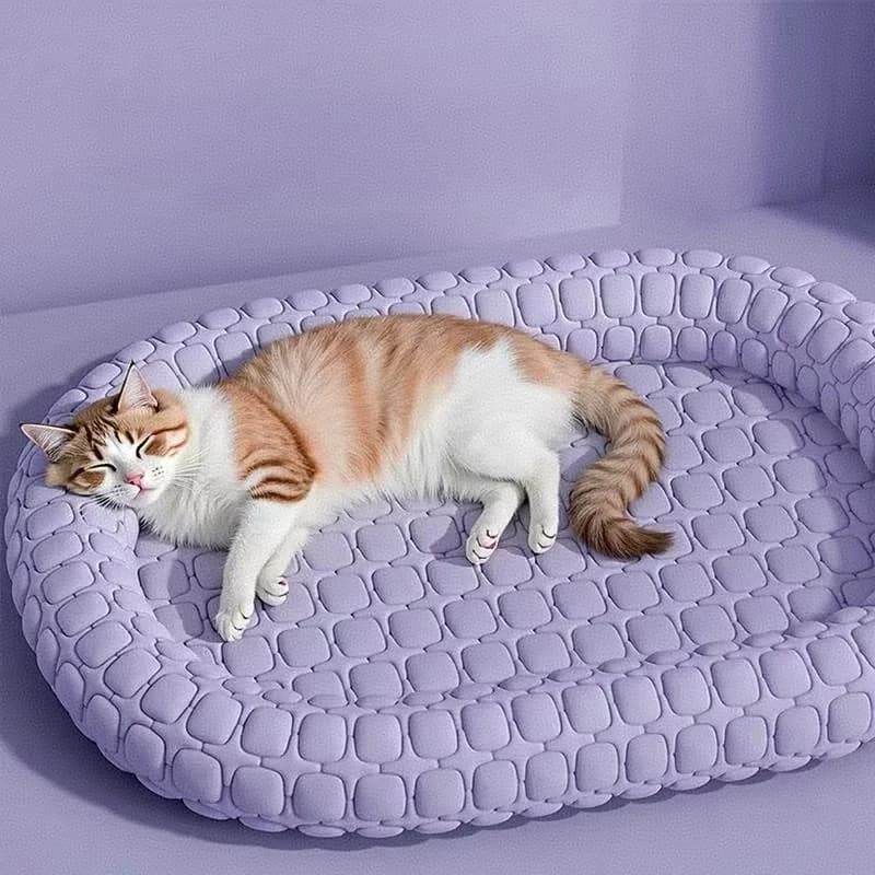 Casa per gattini Forniture per animali domestici Casette e habitat per lettini per cuccioli Articoli per gatti Accessori Cestino Cose Accessori per letti Prodotti per tappetini per cani
