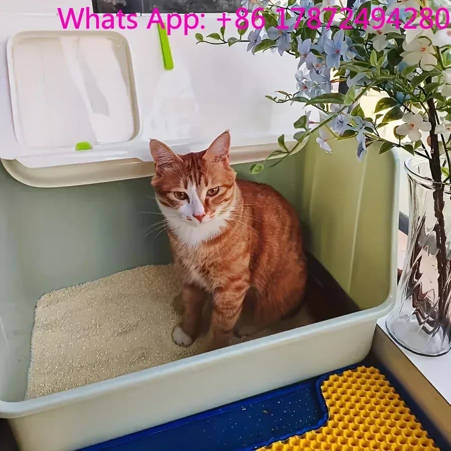 Lettiera per gatti extra large – Design a 2 porte, portatile e adatta a gatti fino a 20 kg