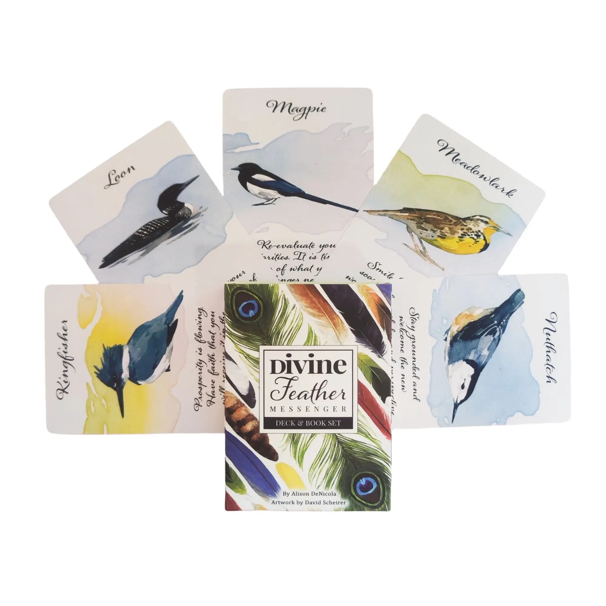 Divine Feather Messenger Tarocchi Oracle Cards 44 Uccelli Simbolo ed Energia 10.4x7.3CM Divinazione Destino Lettura e Gioco da tavolo