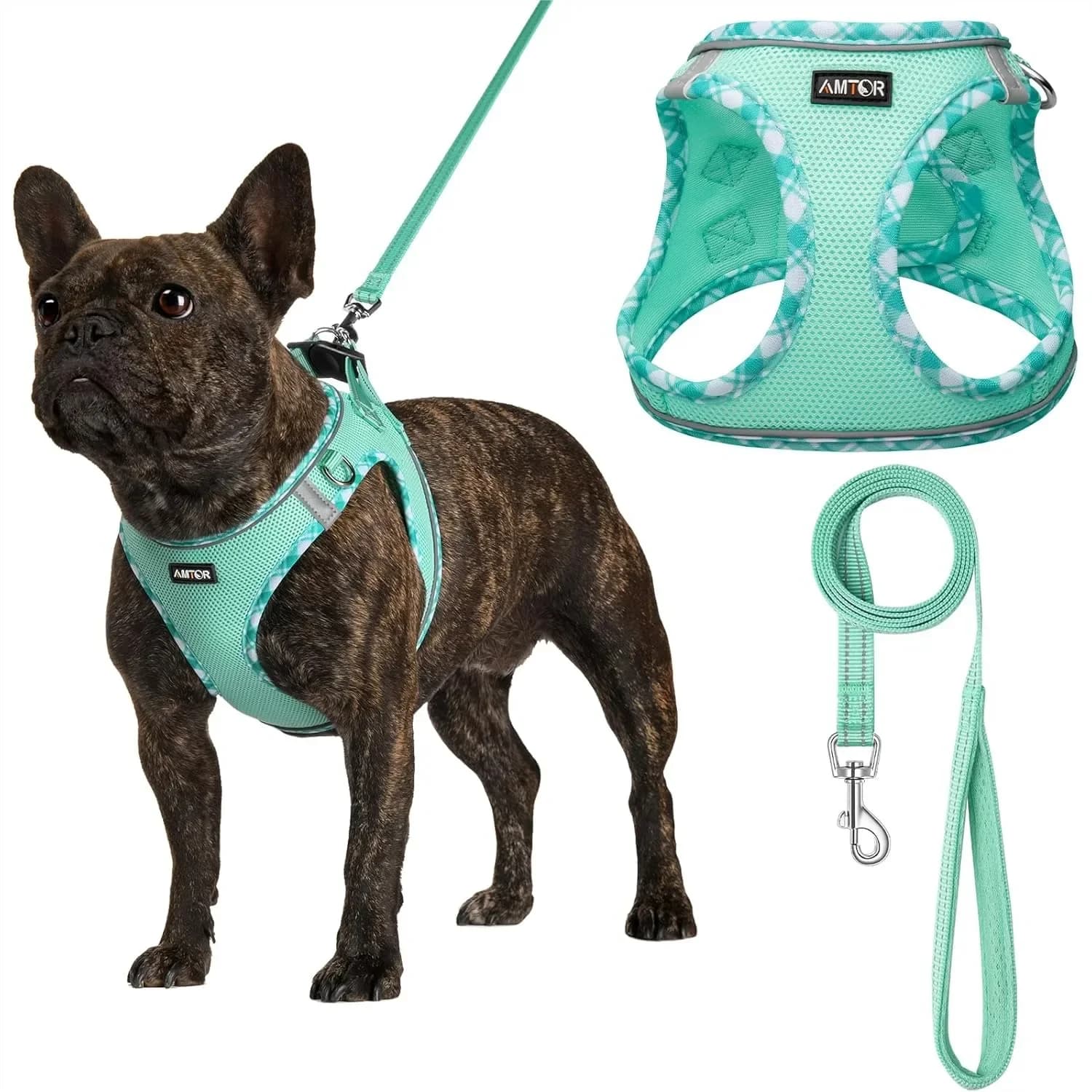 Set Pettorina e Guinzaglio per Cani Piccoli, Gilet Riflettente Anti-Trazione per Addestramento e Passeggio, Design Comodo Step-in per XS S M