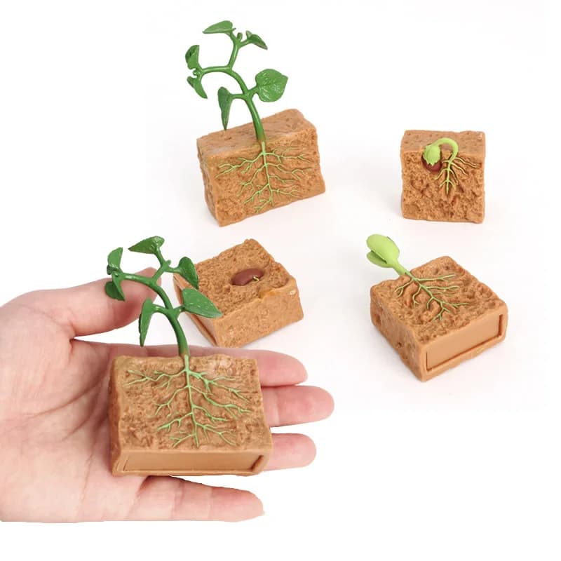 Modello di Simulazione del Ciclo di Vita delle Piante per Bambini, Processo di Crescita delle Piante, Giocattoli Educativi Montessori per la Scuola e lo Sviluppo Cognitivo Precoce