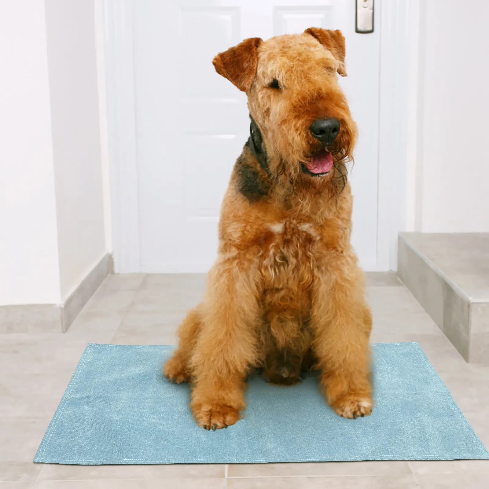 Tappetino Impermeabile per Animali Domestici, Leggero in Poliestere, Coperta Rinfrescante Estiva per Cani e Gatti, Copertura per Divano e Sedia, Protezione per Pavimento e Divano