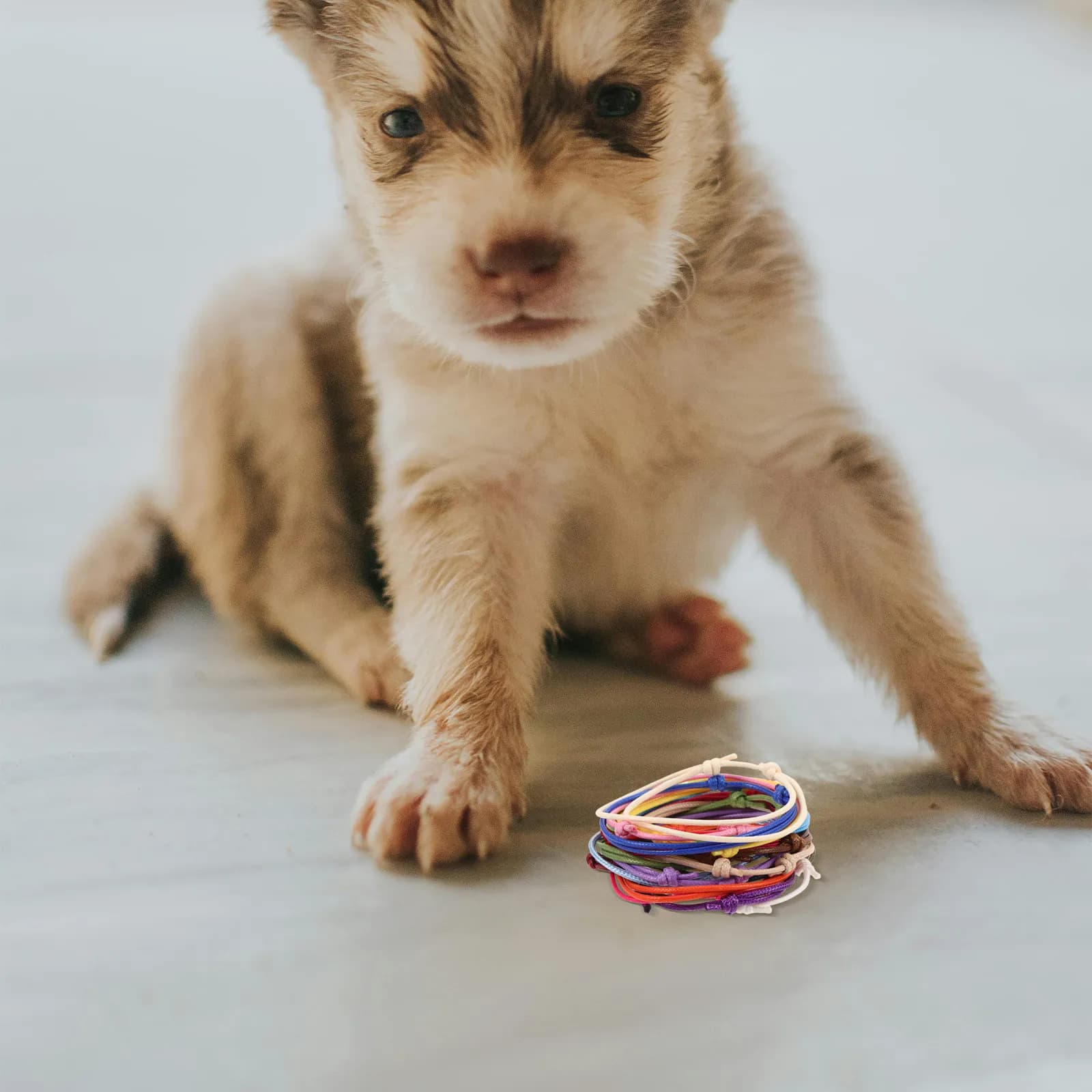 20Pcs Dog Collar Adjustable Soft Puppy Whelping Id Collars 20 Colors Identification Bands Newborn Puppy Kitten Litter