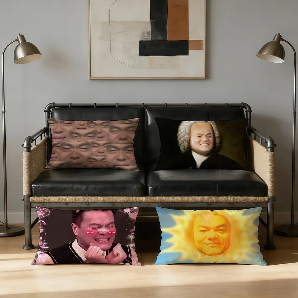 Singer P-Park Jin Young Funny cushion cover Rectangle Pillow Cover Sofa Decoration Bedding Comfort Print
