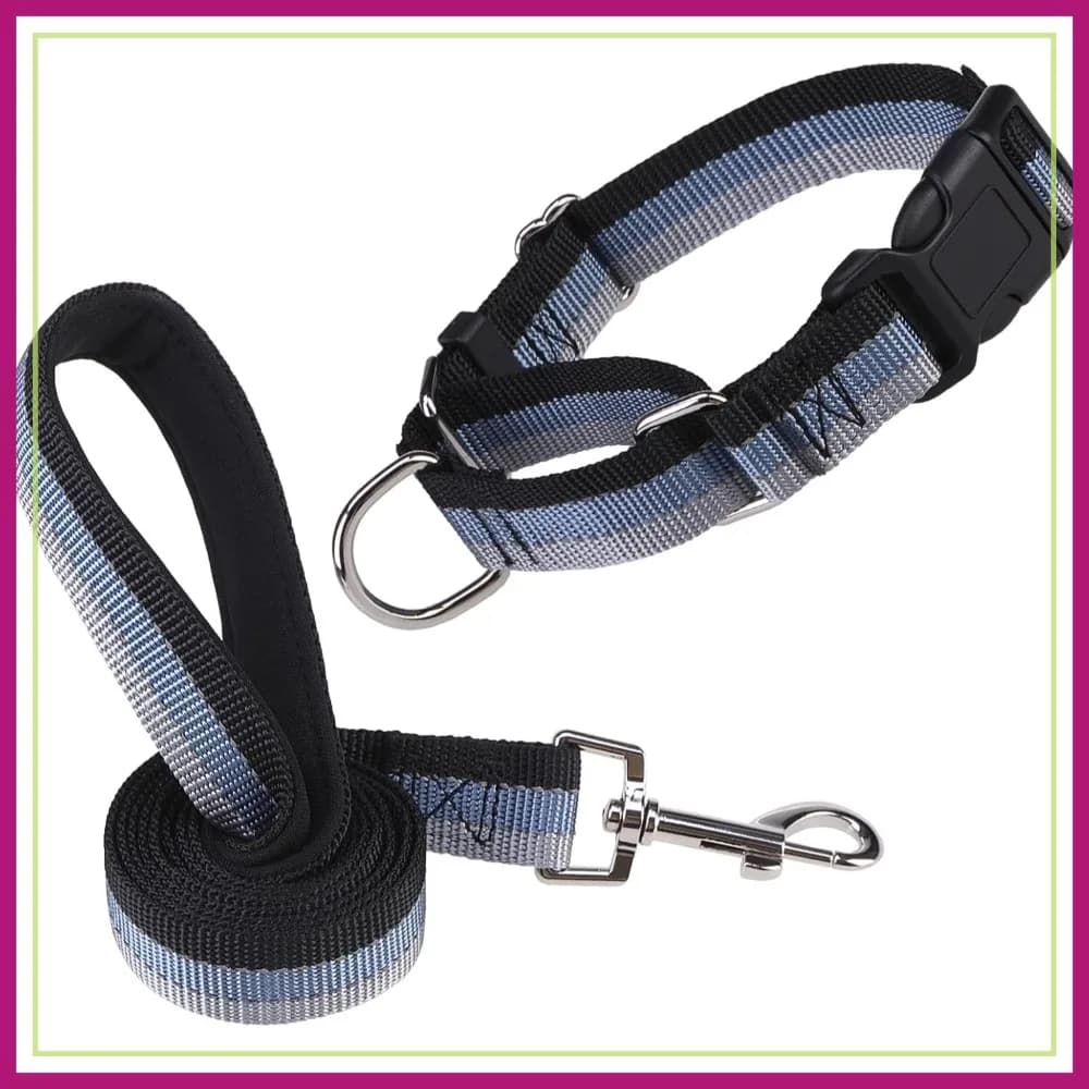 Set Collare e Guinzaglio Riflettente per Cani, per Addestramento e Passeggio, per Cani di Piccola e Grande Taglia (Nero, Piccolo)