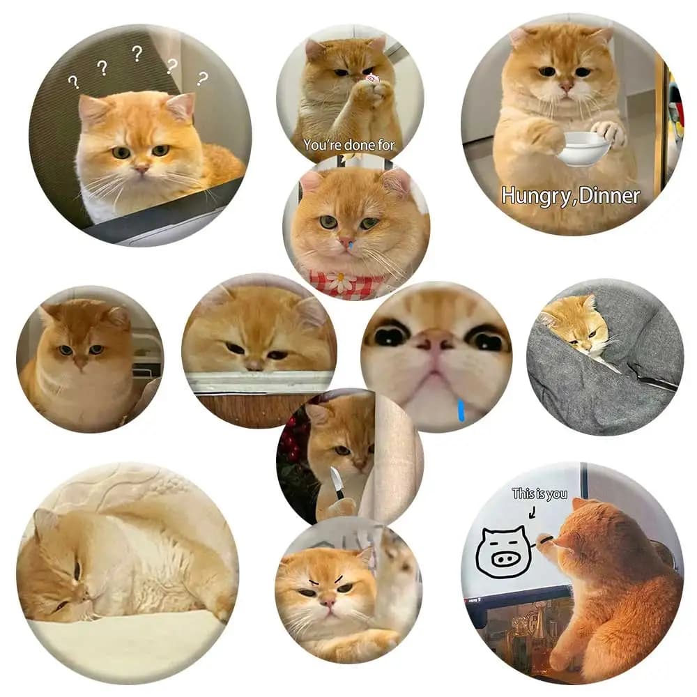 Spille a bottone divertenti a forma di gatto da 58 mm, distintivi personalizzati rotondi con cartoni animati, gioielli, accessori decorativi per borse, camicie, cappelli, giocattoli, regali per amici