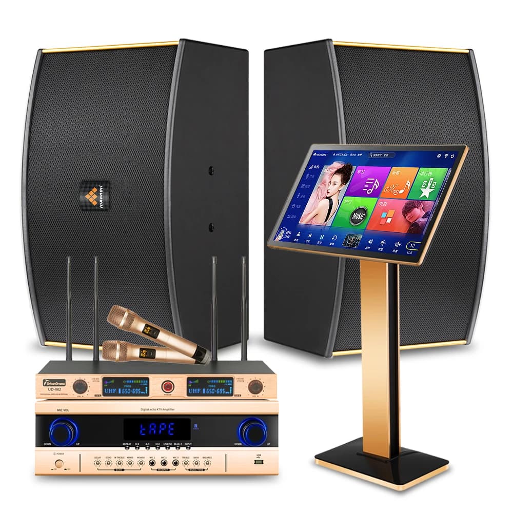 Sistema Karaoke Professionale Con Touch Screen InAndOn KTV Lettore Karaoke Set Casa KTV Con Amplificatore Canto Karaoke Macchina