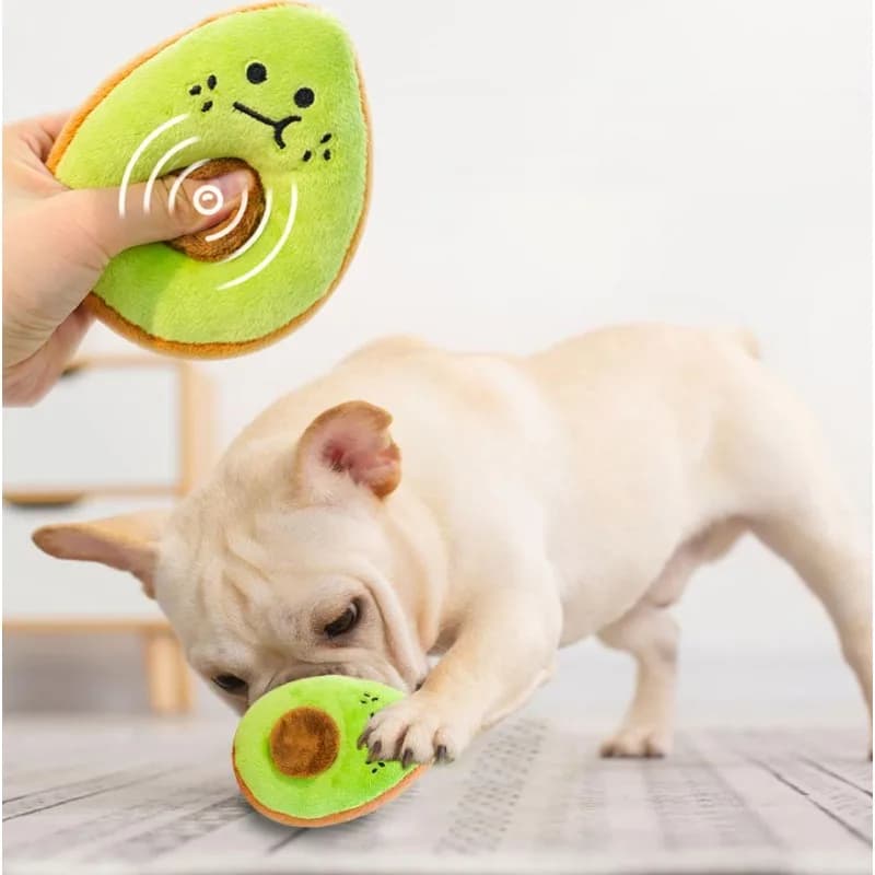 1PC Animale Domestico Peluche Avocado Kiwi Suono Giocattolo Digrignamento Dei Denti Pulizia Dei Denti Per Alleviare Il Noia Piccolo Cane Gatto Masticare Morso Giocattolo Resistente