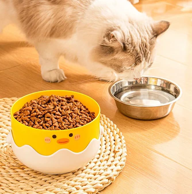 Stainless Steel Single Pet Bowl Large Caliber Egg Shell Shape Cat Feeding Bowl Food Water Basin Pet Supplies