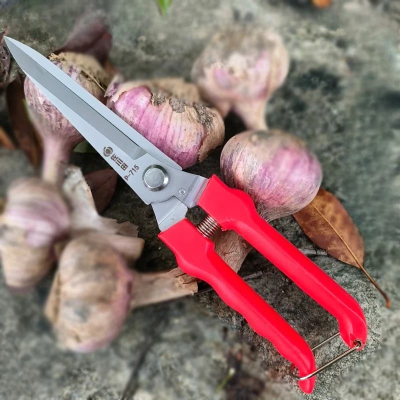 Forbici da Potatura Professionali per Giardino, Cesoie Multiuso per Aglio, Piante, Verdure, Frutta e Fiori