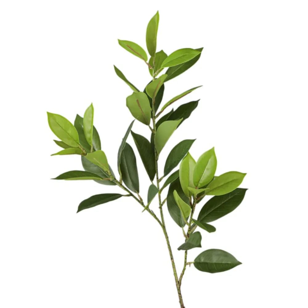 Large Artificial Coppers of Fagraea, Realistici al Tatto, Ilex Artificial Chinensis Made in Hand, Elegant Fin Plants for Wedding Decorations