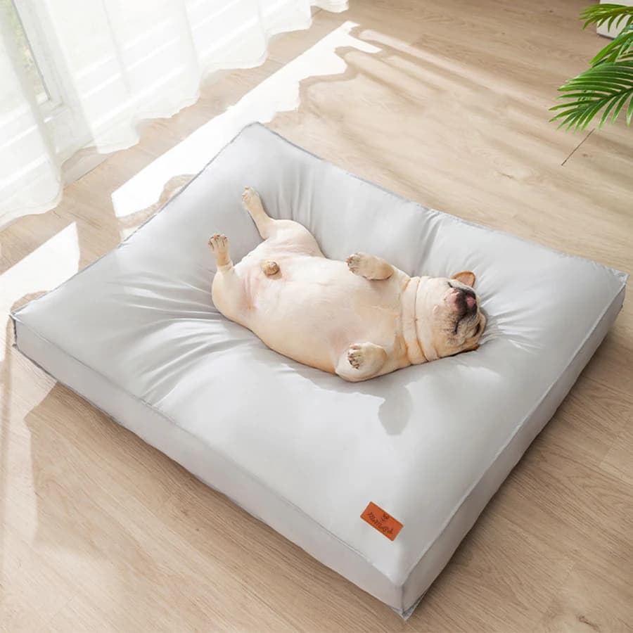 Letto per cani impermeabile e confortevole, tappetino rimovibile per animali domestici, divano rettangolare con tappetino morbido addensato per cani, adatto per animali domestici di tutte le dimensioni