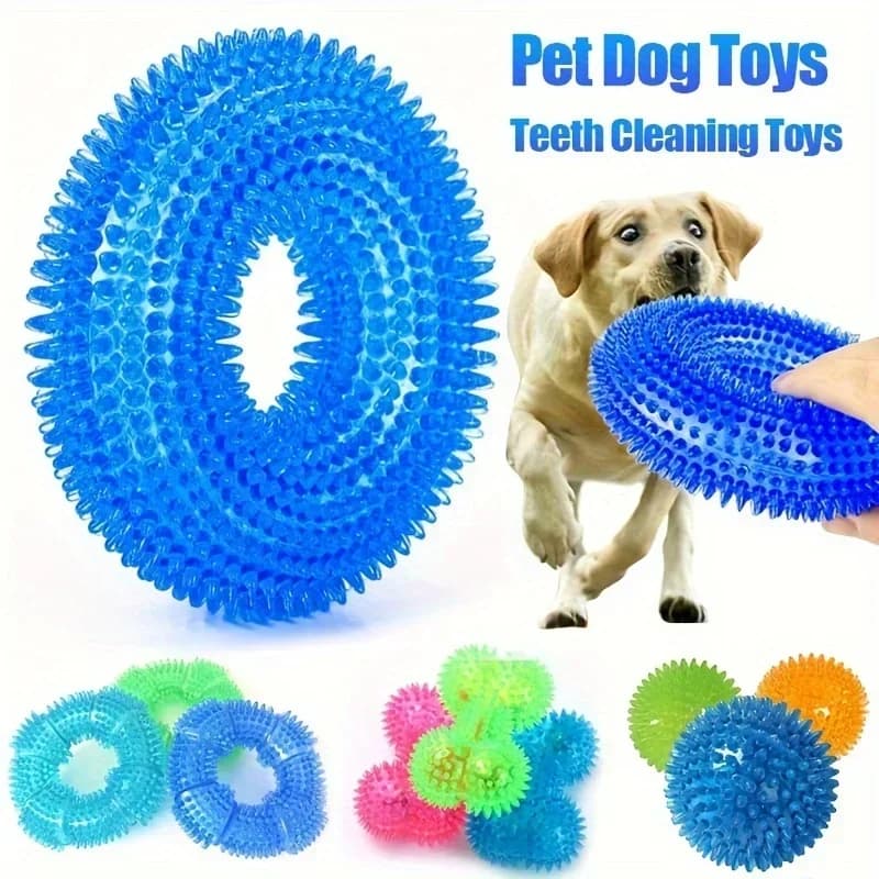 Le palle sonore giocattolo per cani sono adatte per gli animali domestici per resistere al morso, spremere, masticare, afferrare e mollare i denti