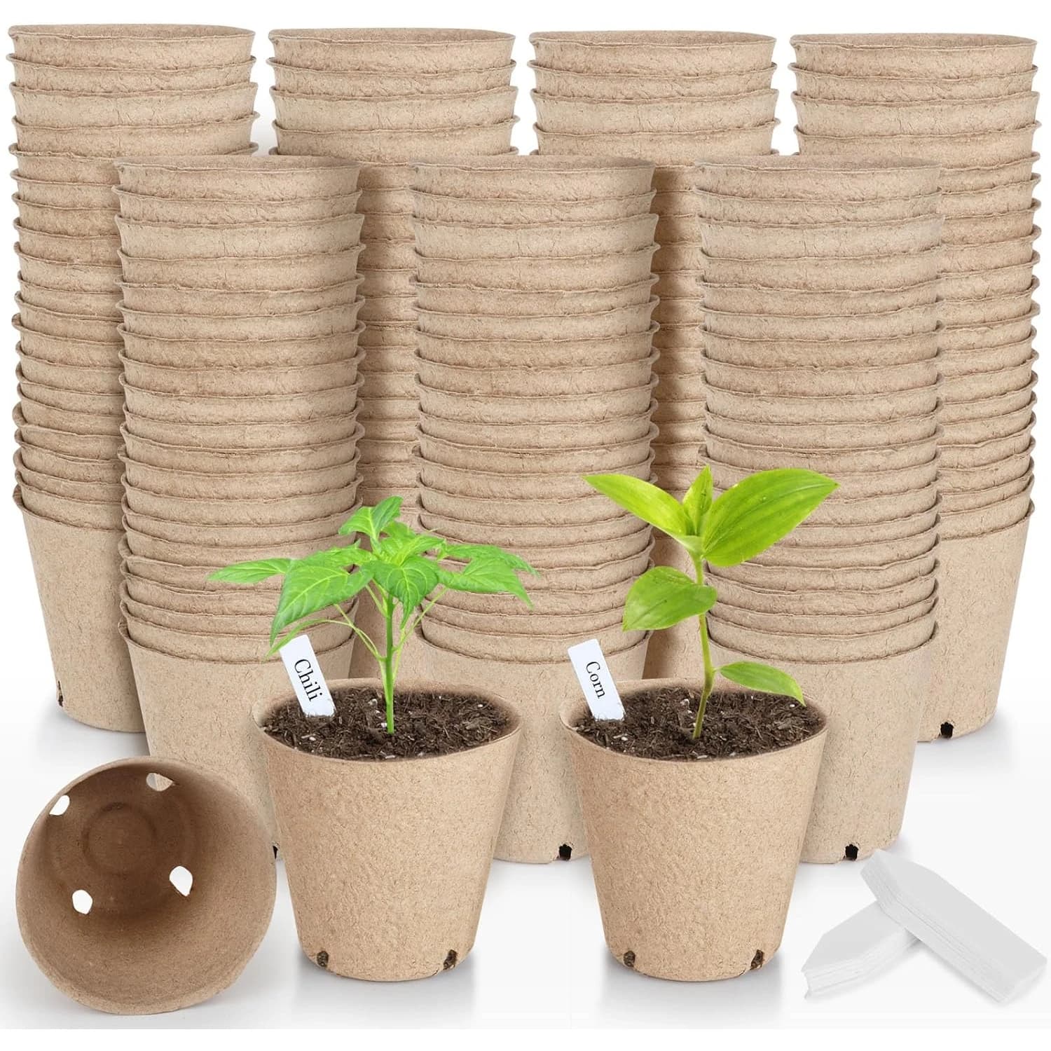 Trays for Germination Seeds, Biodegradable Jars in Paper Pulp, Traplanters for Flowers, Pots for Plants in Torba, Ecological Kit for Semina
