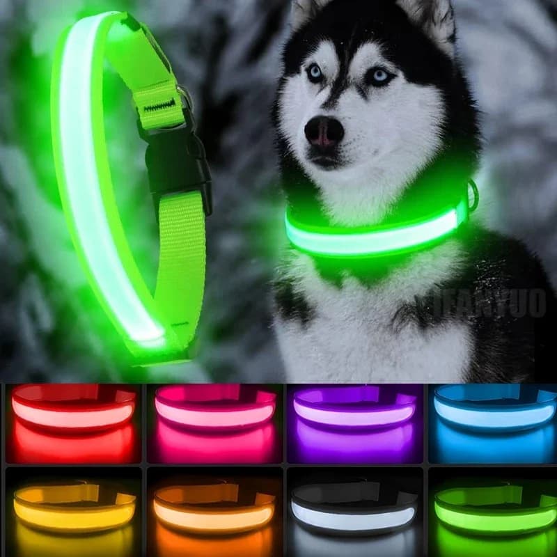 Guinzaglio per cani in nylon con LED luminosi, fluorescenti e che si illuminano al buio, per la sicurezza notturna, e collare luminoso per cani.