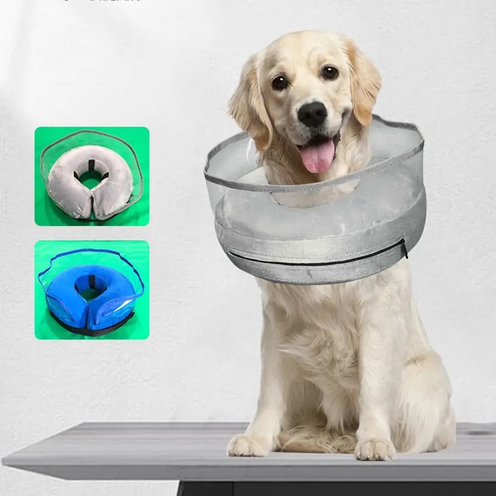 Collare gonfiabile regolabile a cono per cani, scudo trasparente anti-leccatura, comodo da indossare, morbido tessuto impermeabile per ciambella con collo di cane
