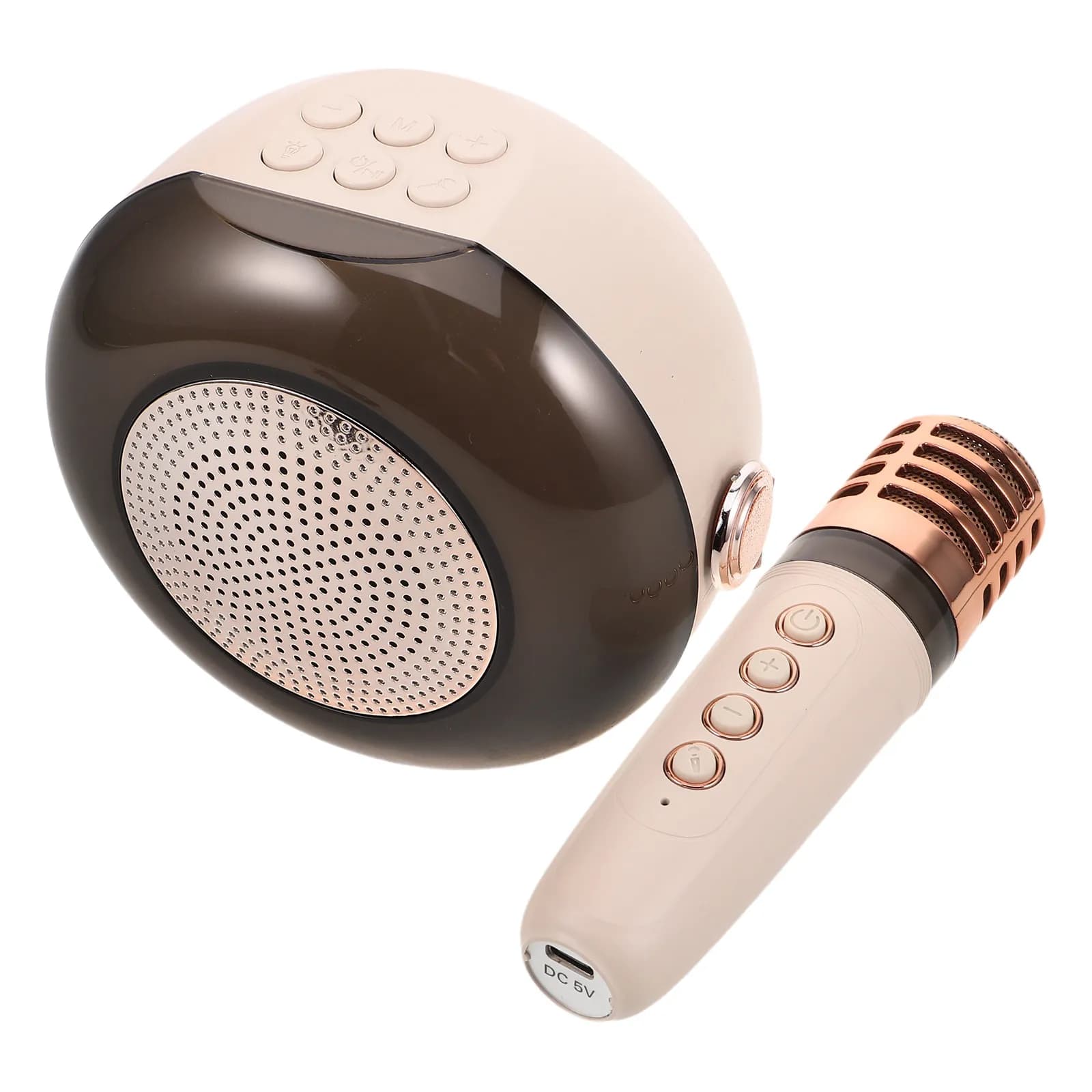 Portable Outdoor Karaoke Machine Wireless Microphone Speaker System for Family Gatherings Camping Parties Adults