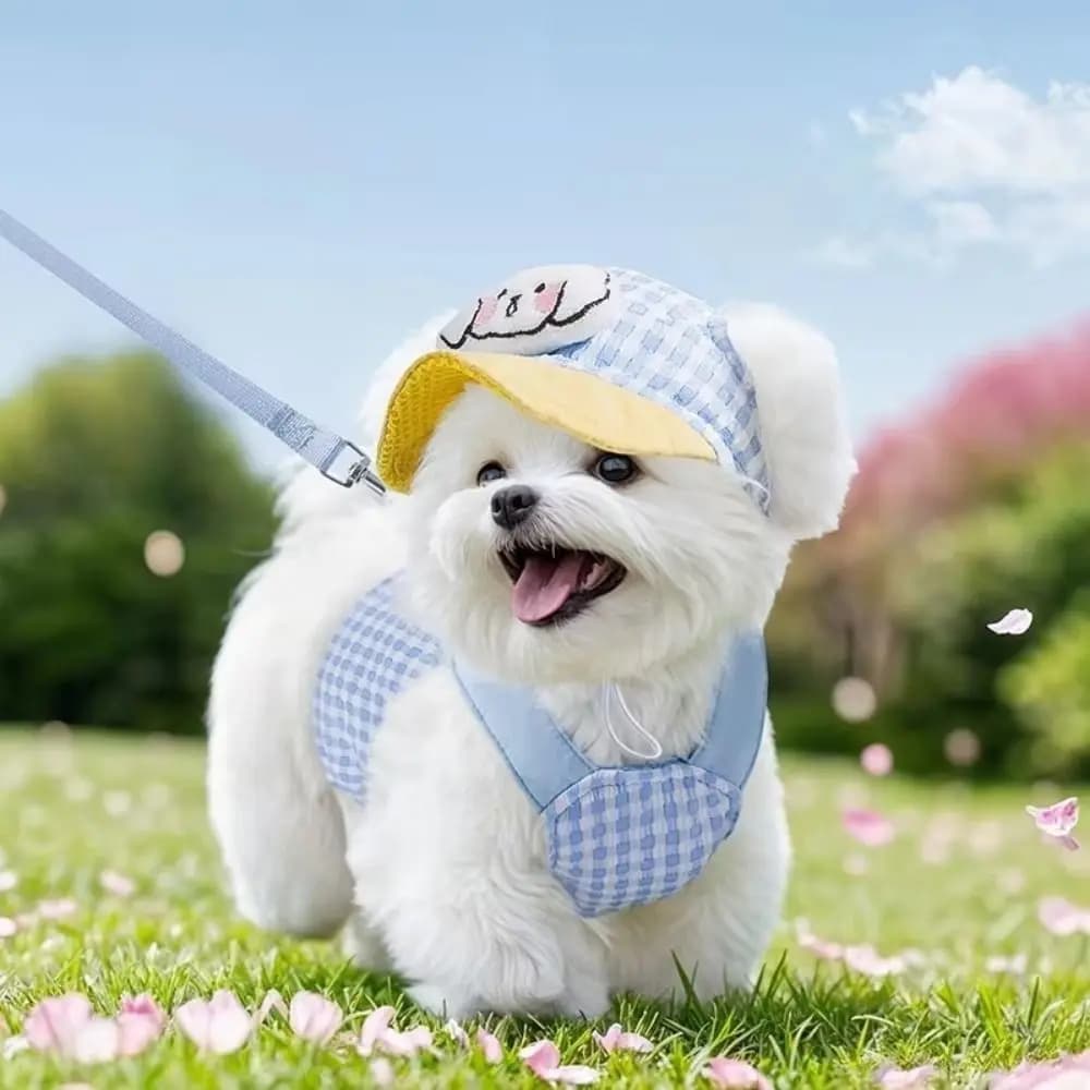 Set Pettorina Regolabile per Cani Stile Gilet con Guinzaglio, Set da Passeggio in Rete Morbida con Cappello per Cani, Guinzaglio da Esterno
