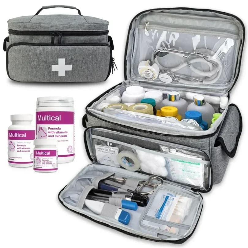 Borsa per kit di pronto soccorso da viaggio per borsa da trasporto medica domestica Organizzatore di archiviazione multifunzionale Scatole per medicinali a strati Armadietto per medicinali
