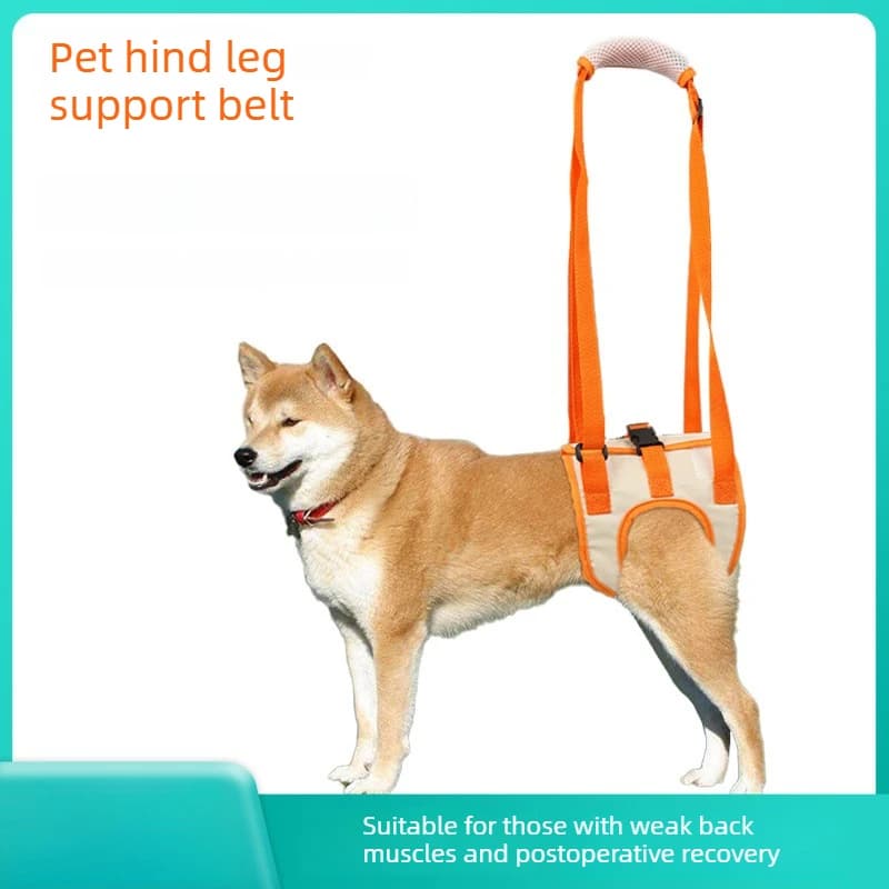 Imbracatura di Supporto Posteriore per Cani Anziani, Disabili o Infortunati, Ausilio per la Riabilitazione e la Deambulazione, Assistenza per le Scale