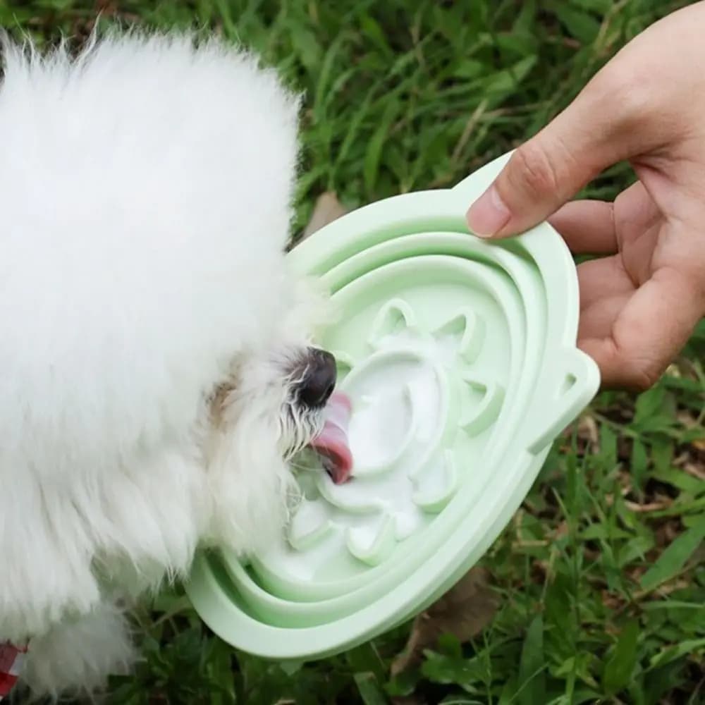 Ciotola Pieghevole Portatile per Animali Domestici Colore Macaron, Ciotola in Silicone con Ventosa e Gancio per Alimenti e Acqua per Cani, da Esterno