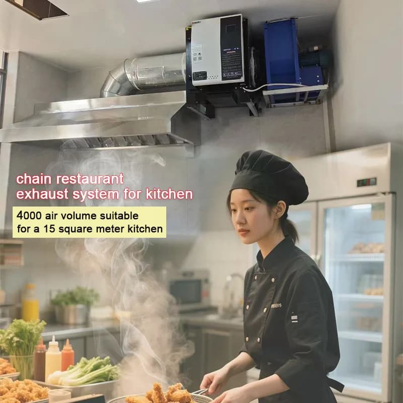 Flusso d'aria commerciale 4000m3/h Filtro antifumo ESP per ristorante Cucina Fumi d'olio Precipitatore elettrostatico remoale Purificatore d'aria