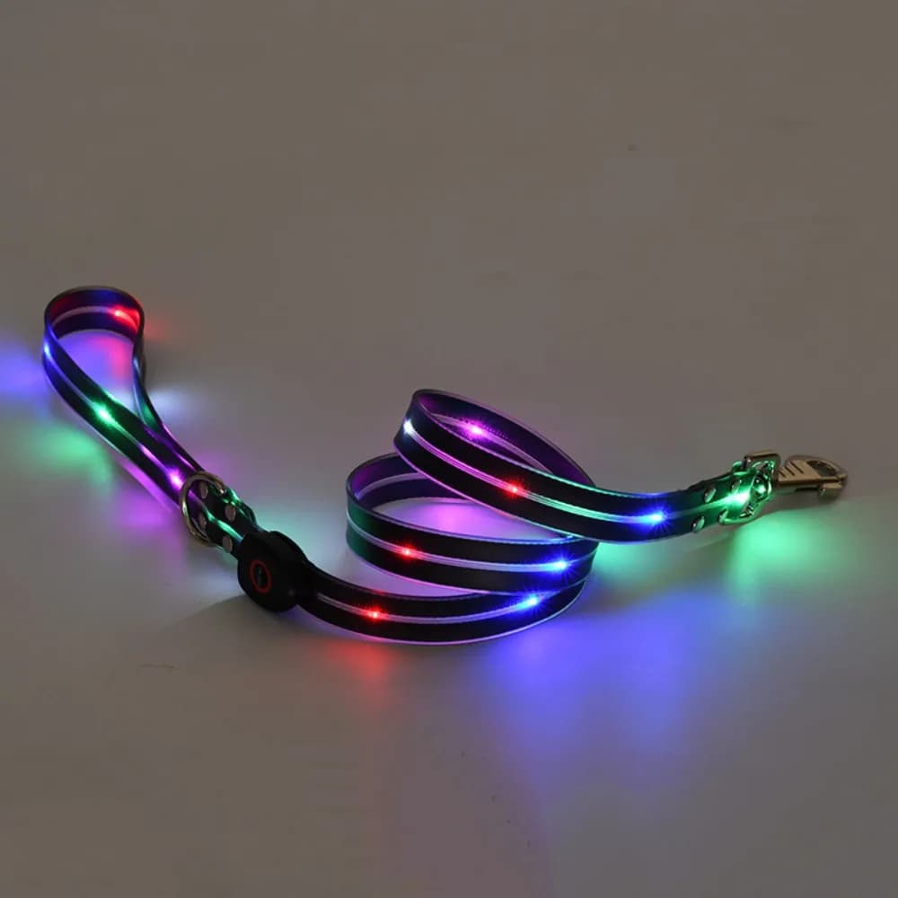 Collare e guinzaglio luminosi per cani, impermeabili, regolabili, ricaricabili, resistenti alle intemperie, con luce LED per passeggiate notturne