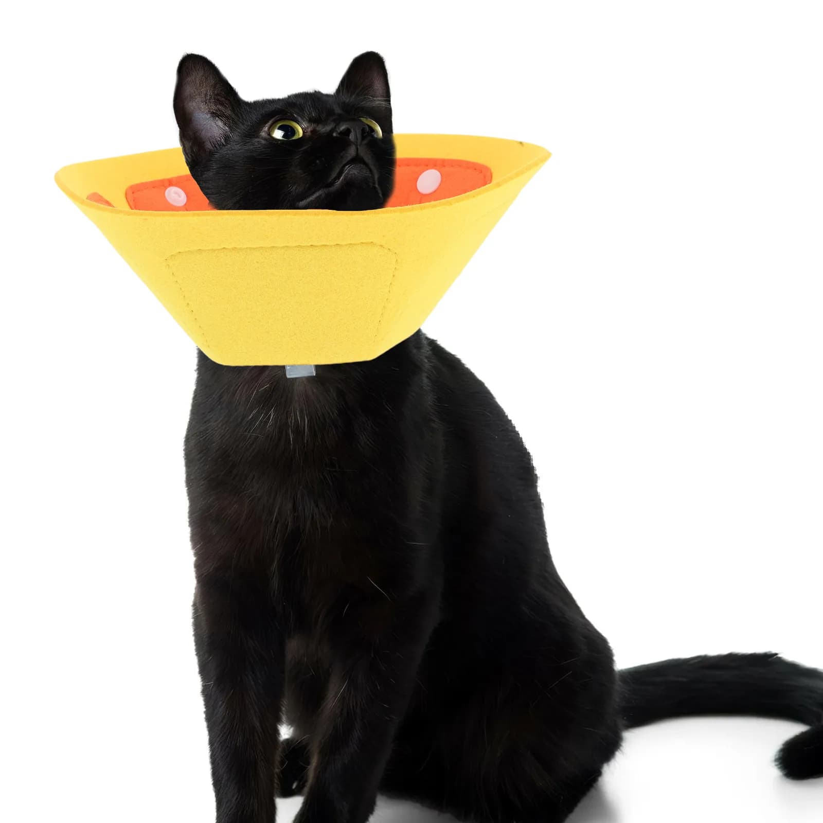 3Pcs Adjustable Pet Elizabethan Collar Soft Breathable Cone for Kittens Puppies Post-Surgery Recovery Grooming Anti-Licking