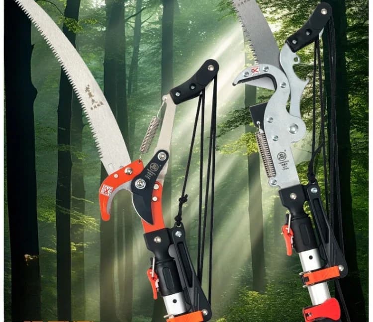 Shears for tall branches from gardening for fruit trees, telescopic shears for high altitude pruning, collect hooks for locust flowers