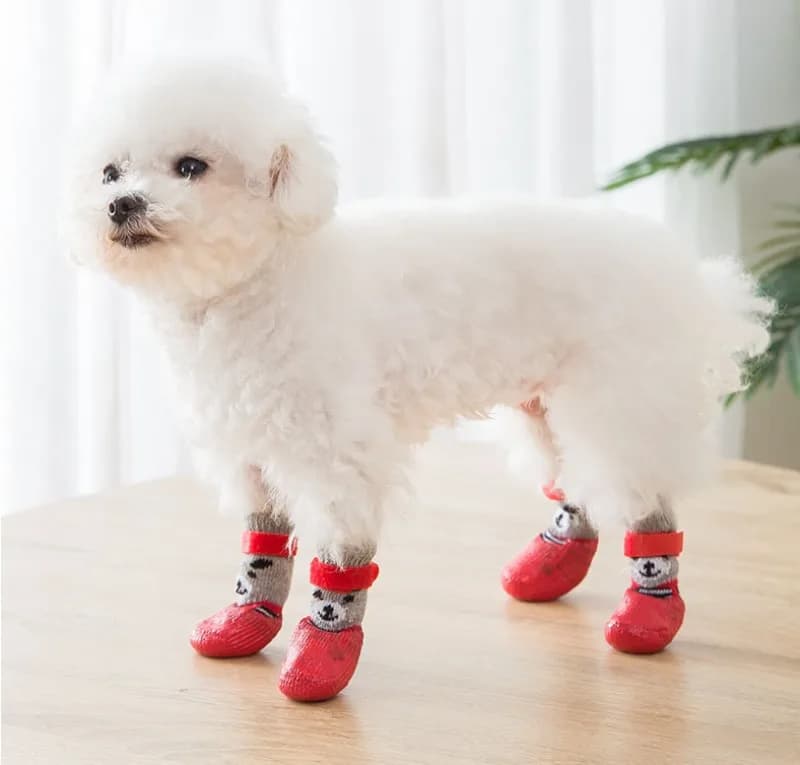 Calzini per gatti Calzini antiscivolo e resistenti all'usura Scarpe sportive da esterno Calzini impermeabili per animali domestici caldi Scarpe da pioggia in silicone per cani Forniture per animali domestici