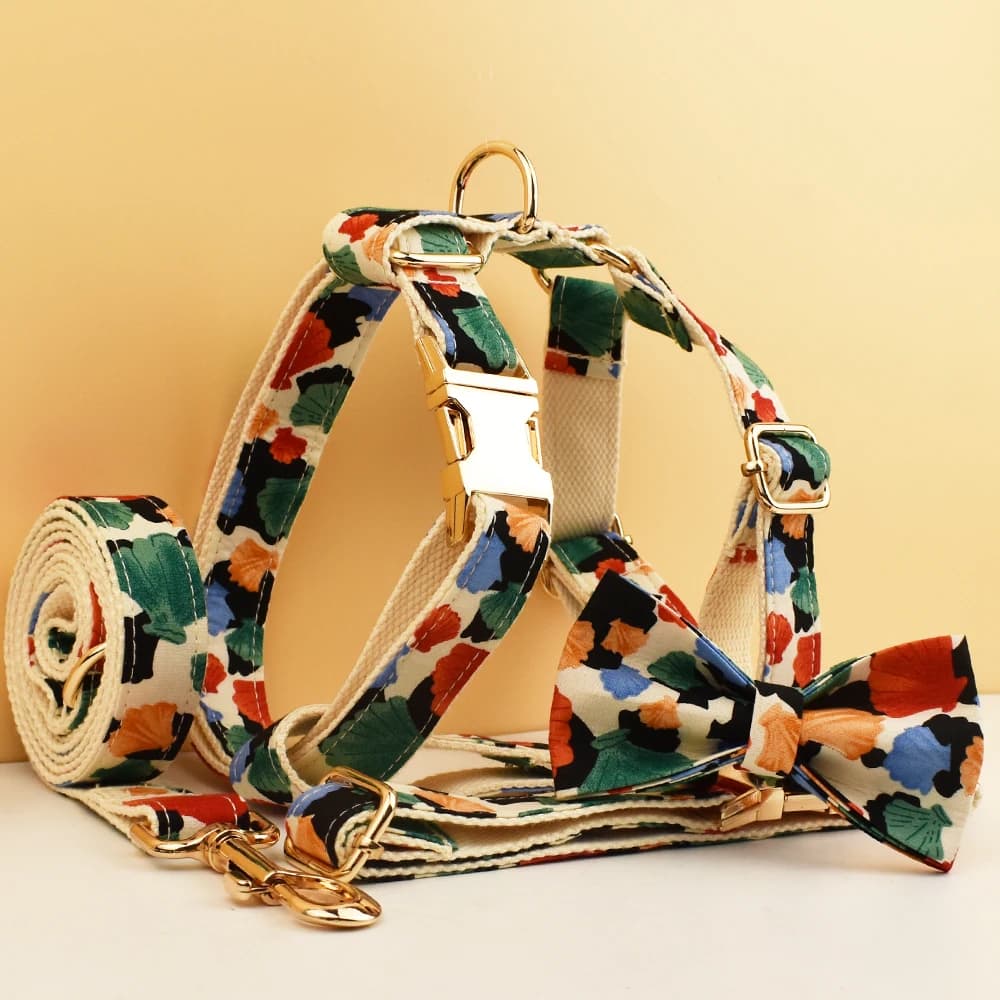 Collare di lusso, guinzaglio, pettorina per cani con logo personalizzato, accessori TS, set collare, guinzaglio e pettorina per cani, collare per cani