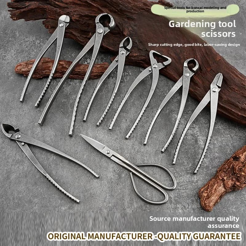 Set di attrezzi per bonsai: cesoie per giunti sferici, cesoie oblique per foglie e boccioli, cesoie speciali per potatura di nodi di alberi e piante in vaso