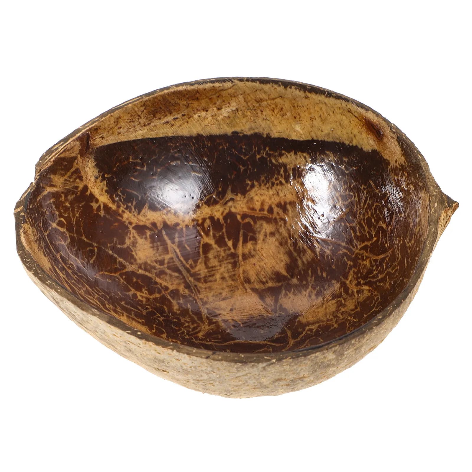 Ciotola in Guscio di Cocco Naturale, Texture Ruvida, Porta Aromi, Contenitore Multiuso, Decorazione per la Casa, Contenitore per Alimenti