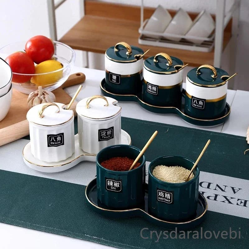 Set di scatole per condimenti per sale di lusso leggero giapponese Set di scatole per condimenti in ceramica per uso domestico Zuccheriera Bottiglia per condimenti Forniture da cucina