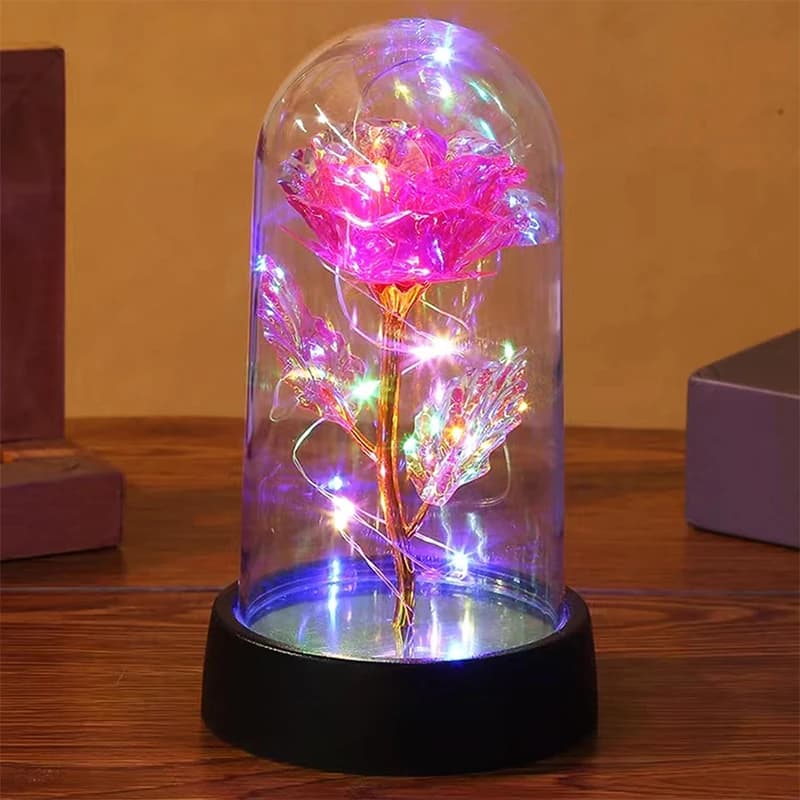 Regalo di San Valentino per la fidanzata Rosa eterna Fiore in lamina di luce a LED nella copertura in vetro Bomboniere per la festa della mamma Regali per damigelle d'onore